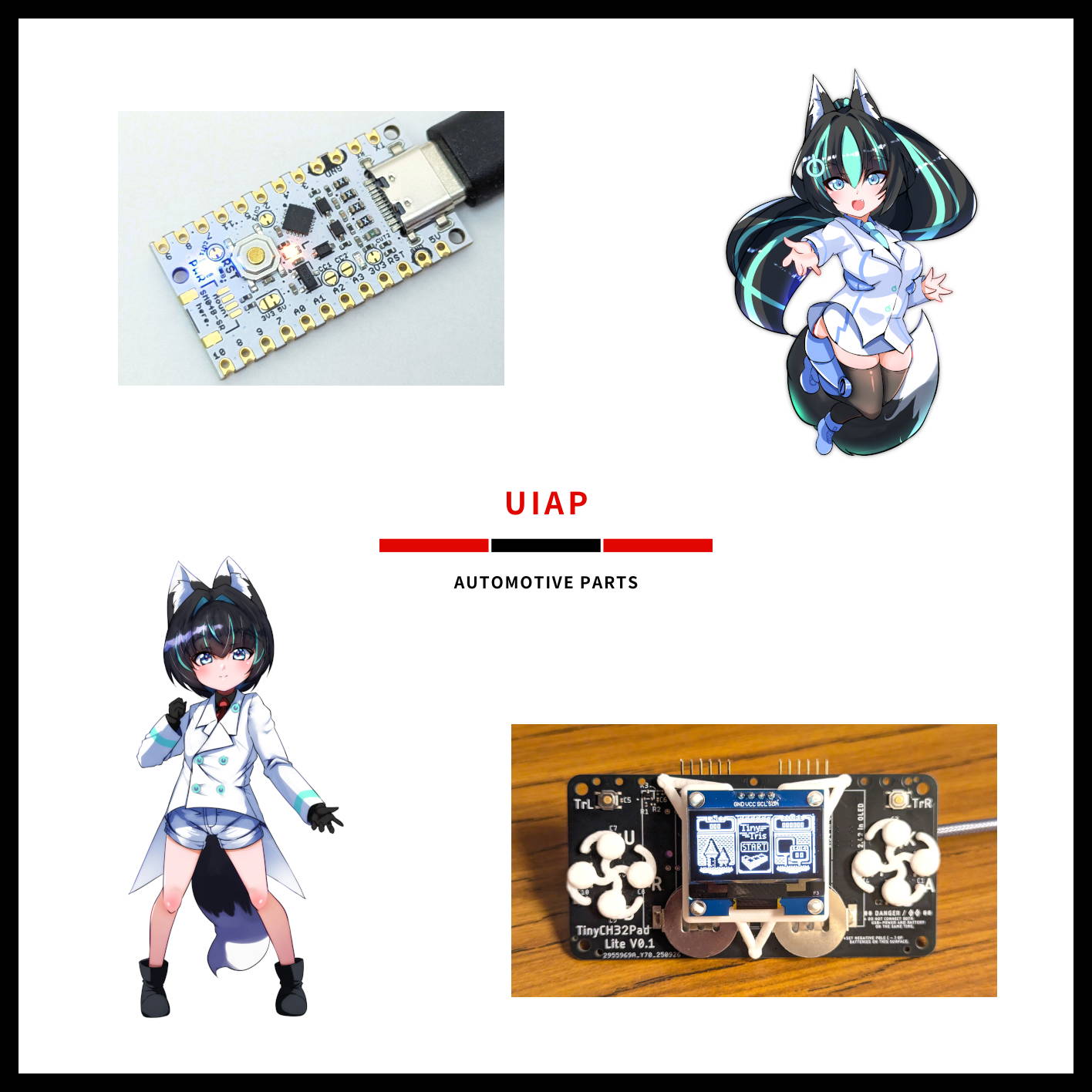 UIAP